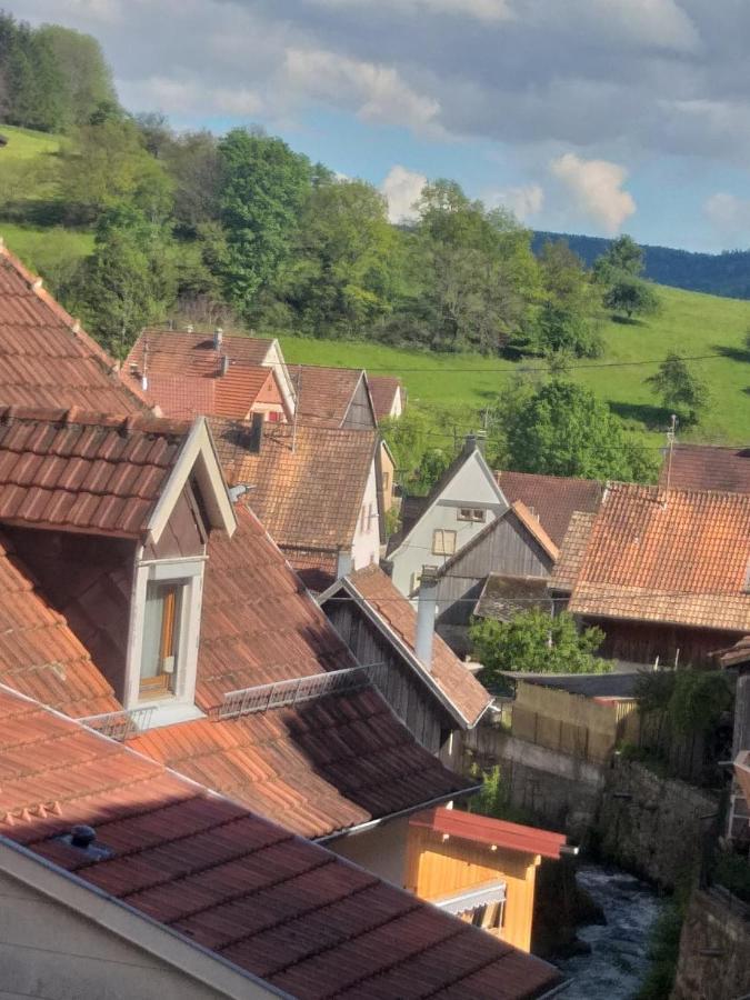 Résidence Soansa Du Gérardmer - Col De La Schlucht Hotel