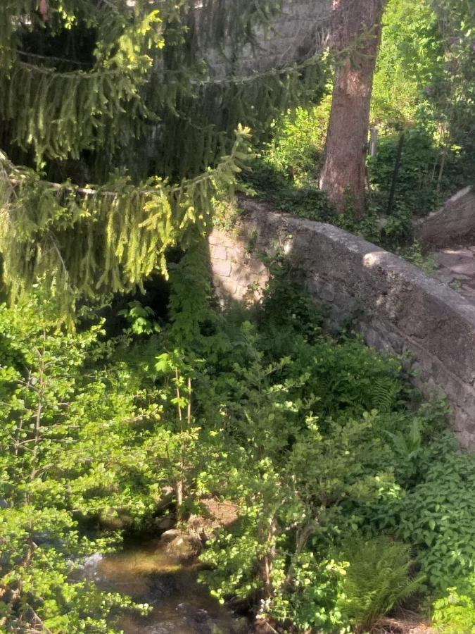 Résidence Soansa Du Gérardmer - Col De La Schlucht *